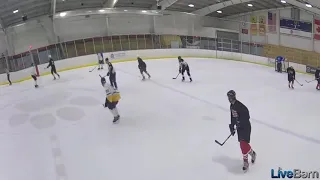 Crystal Fieldhouse Hockey - 2021