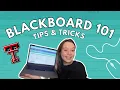 Blackboard 101 Texas Tech Vlog Squad