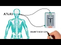 Upper Cervical Care in Zeeland MI
