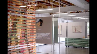 After—Siwu Nature Park Natural and Art Exhibition Series