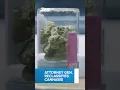 BREAKING Attorney General reclassifies medical marijuana