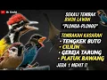 Download Lagu NGERIIII..!!!MASTERAN TEMBAKAN KASARAN || TENGKEK BUTO, CILILIN, GEREJA TARUNG DAN PLATUK BAWANG !!