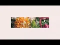 La Bendición (The Blessing) | Video Oficial Con Letras | Elevation Worship