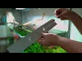 Download Lagu Aquario All New NEO Diffuser original extend version bending video