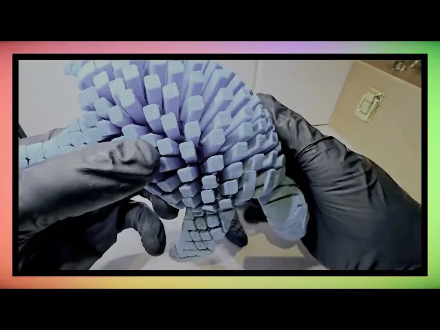 Hi-Flex Baby Turtle  video thumbnail
