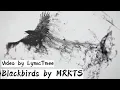 Download Lagu Blackbirds | MRKTS (LYRICS)