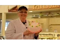 Meet our World Class Cake Decorators Store 29 - Holden