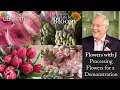 Processing Flowers - 2nd Edition