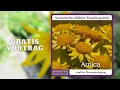 Download Lagu Arnica und die Überanstrengung [Arzneimittelbilder Homöopathie]