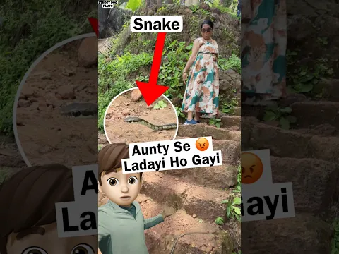 Snake 🐍 Aunty Se Ladayi 😡