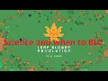 Leaf Blower Revolution guide science and when you should BLC