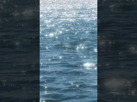 One of life’s simplest pleasures: watching the ocean sparkle ✨