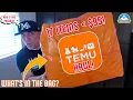 Temu Haul 17 Items For Under 95 theendorsement
