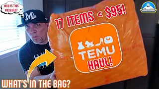 Temu Haul 17 Items For Under 95 theendorsement