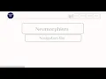 How to create navigation bar how to create navigation bar using html and css neumorphism nav-bar