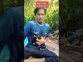 Download Lagu #sulingsakti #burung #burungkicaudialamliar #pikatbeo #vogels