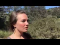 Franklin Canyon Park