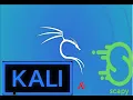 Kali Linux Tools and Scapy Introduction