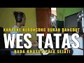 Download Lagu WES TATAS Karaoke Pop Keroncong Modern|  Nada Pria - Tak eling eling mbiyen tau omong opo
