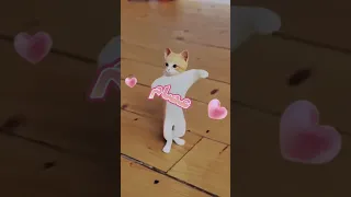 الاكتر طلبا عصام عصام ترند السعودية ترند العراق مصر Foryou Cat Shorts Short 