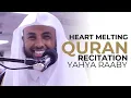 Download Lagu Surah Ghafir Yahya Raaby Recitation  | Masjid al-Humera