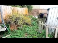 Download Lagu Where else can you get three DISASTERS for the Price of one | Garden Transformations