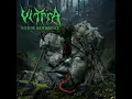 Vittra - Intense Indifference (Full Album) • 2025