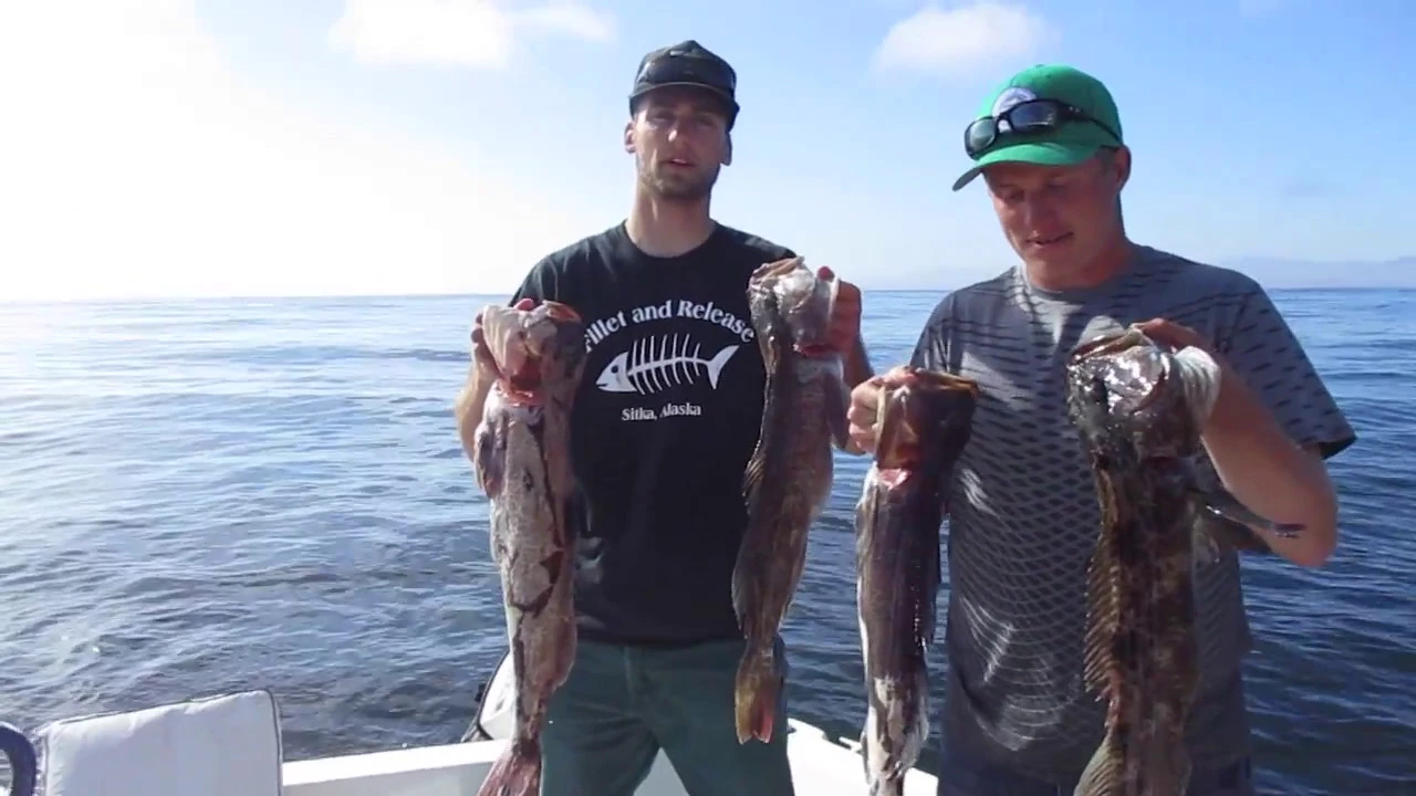 805Angling Brothers: Morro Bay Rockfishing- May 22 & 23, 2017 805Angling Brothers: Morro Bay Rockfishing- May 22 & 23, 2017