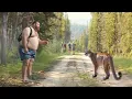 30 Mountain Lion Encounters You Should AVOID Watching