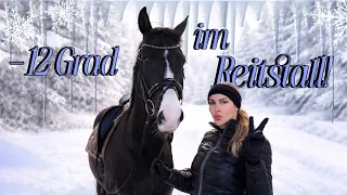 Bei Schneesturm im Reitstall - es wird kalt!!! 🥶🐴❄️ annchenaugustine