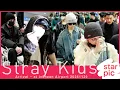 스트레이키즈 'MAMA대상 축하해요!' [STARPIC] / Stray Kids Arrival - at Incheon Airport 20251130
