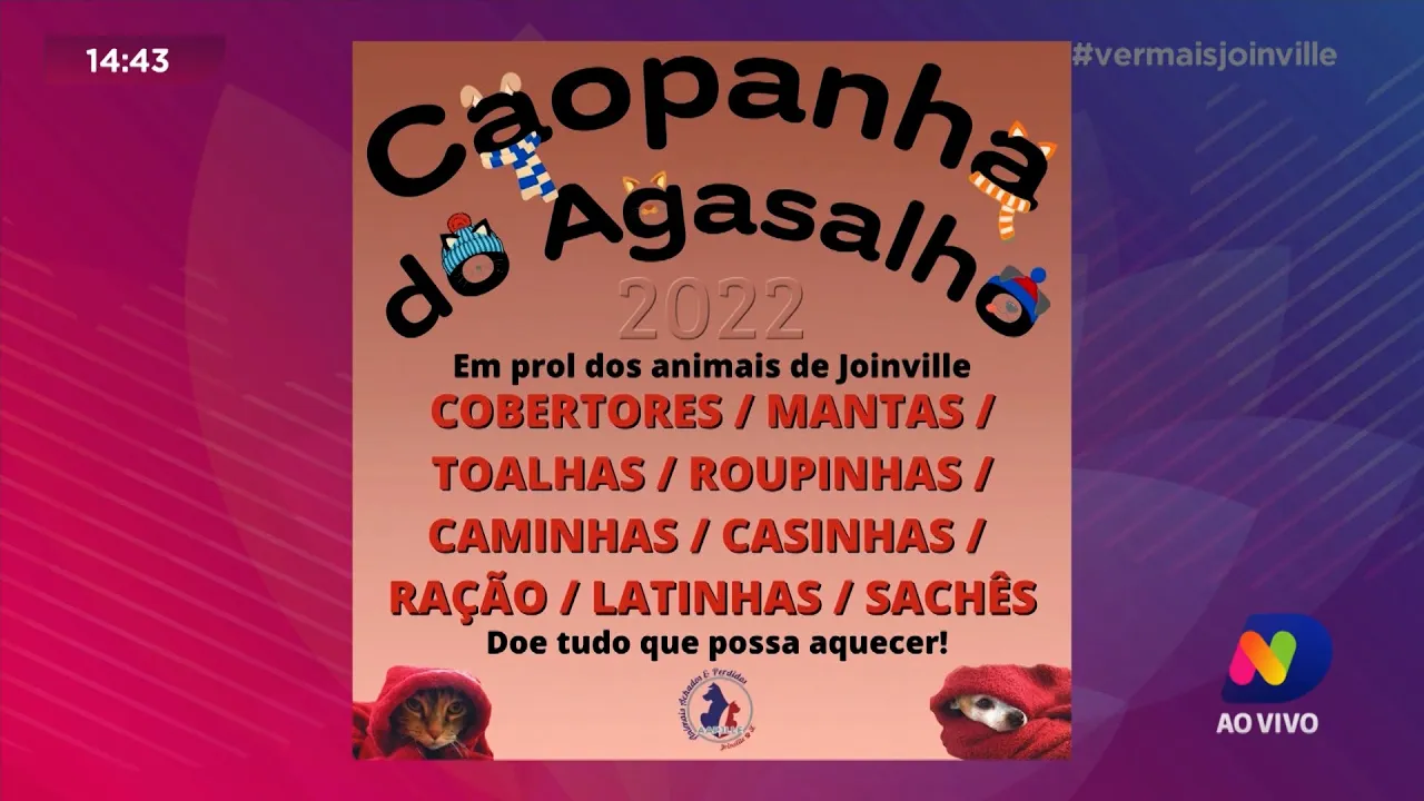 Campanha do Agasalho para Pets: saiba como contribuir