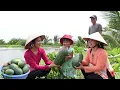 Download Lagu Hái Dưa Hấu Nhà Trồng Trái Bự Thấy Ham Đẩy Xe Dưa Hấu Bầu Bí bán cho Bà Con | HQ #1655