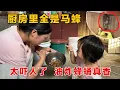 Download Lagu 二叔家厨房全是马蜂窝，太吓人了，爷爷都不敢进去了，最后被我一锅端了，蜂蛹炸着吃真的太香了