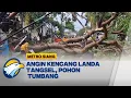 Download Lagu Hujan Deras dan Angin Kencang, Pohon Tumbang  - [Metro Siang]