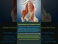 Psoas Muscle (Fight or Flight) - Release your fear