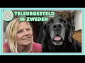 Download Lagu #36 TELEURGESTELD IN ZWEDEN - SOLO CAMPERREIS NOORDKAAP