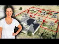 REGENERATIVE FARMING IN THE SUBURBS grass fed DAIRY SHEEP Starting a Farm After 50
