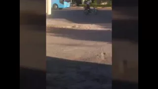 مهرجان ساعه الصفر مع رفع العلم بيبو عادل 