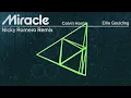Calvin Harris, Ellie Goulding - Miracle (Nicky Romero Remix - Official Visualiser)