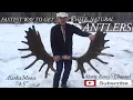 Fastest Way to Get White Natural Antlers by Marty Raney