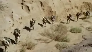 اهضم من نزل عباس 