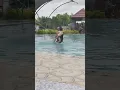 Download Lagu Mandi di Kolam Renang #shorts #shortsfeed