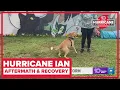 Tampa animal rescue saves dozens of dogs after Hurricane Ian