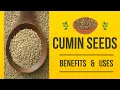 Benefits and Uses of Cumin Seeds that Will Surprise You