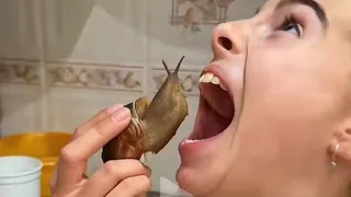 ¿ Te gustan los Caracoles 🐌? 