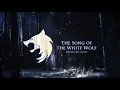 The Witcher - The Song of the White Wolf (Relaxing Ambient Orchestral Cover)