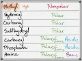 Biochemistry - The Functional Groups that Build Biomolecules