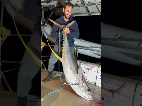 Top 10 PESCARIAS da volta ao mundo Pt. 2