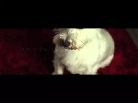 27, Memory Lane - Trailer (2014)